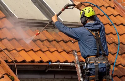 Démoussage et hydrofuge de toiture à Louannec